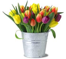 fresh_cut_flowers1-25-2012