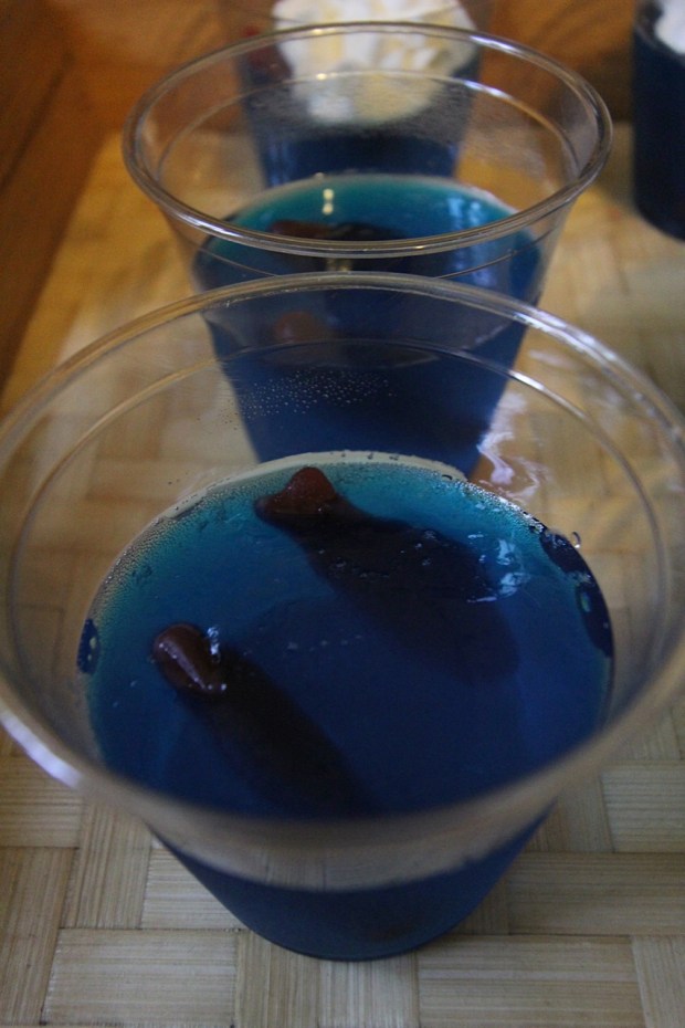 jello fish bowls