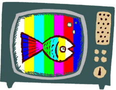 My Color TV