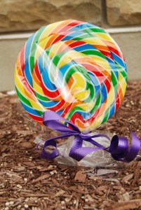 magicbean-SeeJaneBlog